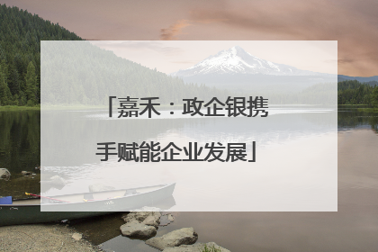 嘉禾：政企银携手赋能企业发展