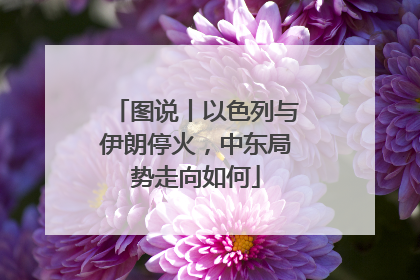 图说丨以色列与伊朗停火，中东局势走向如何