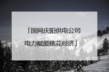 国网庆阳供电公司电力赋能桃花经济