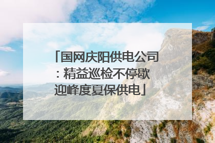 国网庆阳供电公司：精益巡检不停歇 迎峰度夏保供电