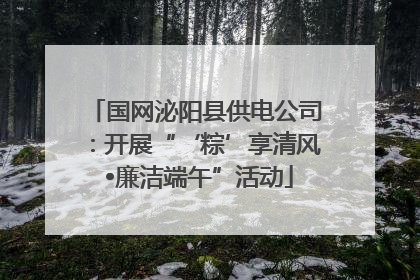国网泌阳县供电公司：开展“‘粽’享清风 •廉洁端午”活动