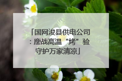 国网浚县供电公司：鏖战高温“烤”验 守护万家清凉