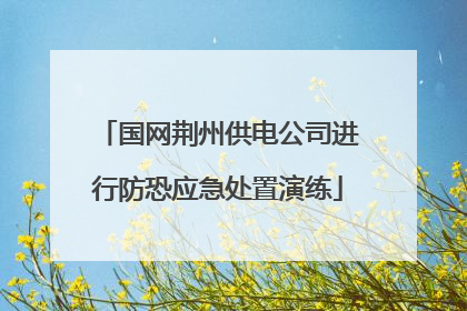 国网荆州供电公司进行防恐应急处置演练