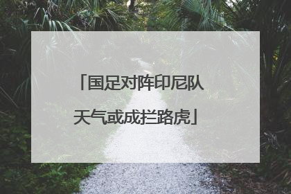 国足对阵印尼队 天气或成拦路虎