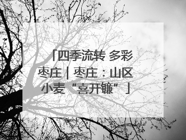 四季流转 多彩枣庄｜枣庄：山区小麦“喜开镰”