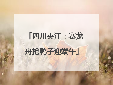 四川夹江：赛龙舟抢鸭子迎端午