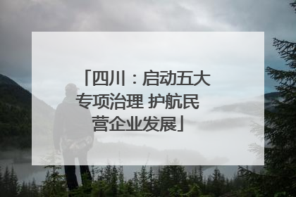 四川：启动五大专项治理 护航民营企业发展