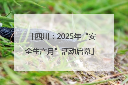 四川：2025年“安全生产月”活动启幕