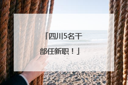 四川5名干部任新职！