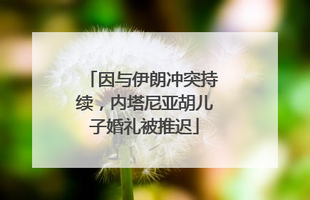 因与伊朗冲突持续，内塔尼亚胡儿子婚礼被推迟