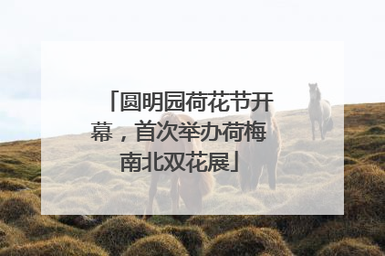 圆明园荷花节开幕，首次举办荷梅南北双花展