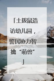 土拨鼠造访幼儿园，警民协力智擒“萌兽”