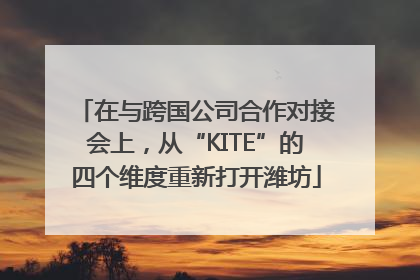 在与跨国公司合作对接会上，从“KITE”的四个维度重新打开潍坊