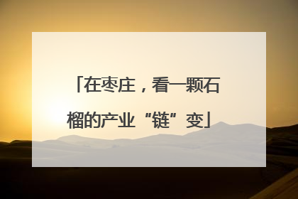 在枣庄，看一颗石榴的产业“链”变