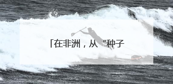在非洲，从“种子”到“杯子”的遥远距离——一颗咖啡豆的前世今生（三）