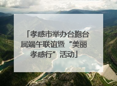 孝感市举办台胞台属端午联谊暨“美丽孝感行”活动