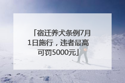 宿迁养犬条例7月1日施行，违者最高可罚5000元