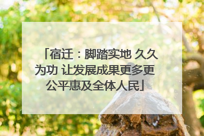 宿迁：脚踏实地 久久为功 让发展成果更多更公平惠及全体人民