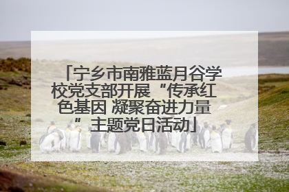 宁乡市南雅蓝月谷学校党支部开展“传承红色基因 凝聚奋进力量”主题党日活动