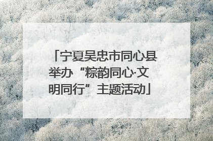 宁夏吴忠市同心县举办“粽韵同心·文明同行”主题活动