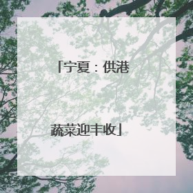 宁夏：供港蔬菜迎丰收