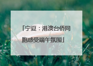 宁夏：港澳台侨同胞感受端午氛围