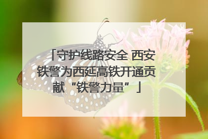守护线路安全 西安铁警为西延高铁开通贡献“铁警力量”