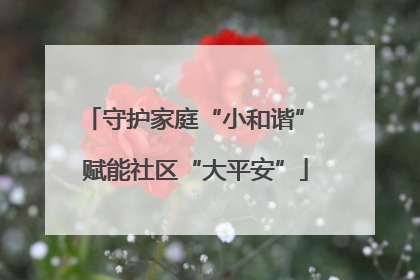 守护家庭“小和谐” 赋能社区“大平安”