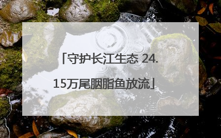 守护长江生态 24.15万尾胭脂鱼放流