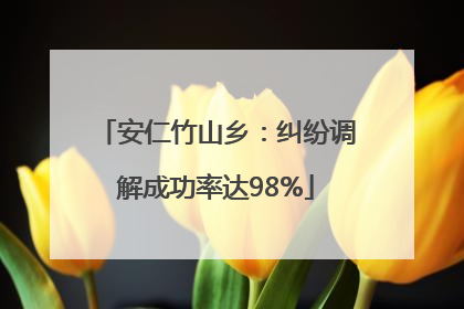 安仁竹山乡：纠纷调解成功率达98%
