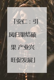 安仁：引凤归巢结硕果 产业兴旺促发展