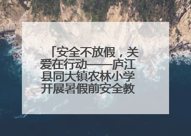 安全不放假，关爱在行动——庐江县同大镇农林小学开展暑假前安全教育大家访