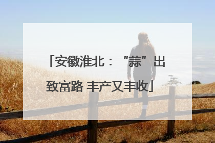 安徽淮北：“蒜”出致富路 丰产又丰收