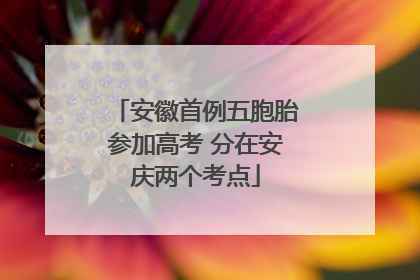 安徽首例五胞胎参加高考 分在安庆两个考点