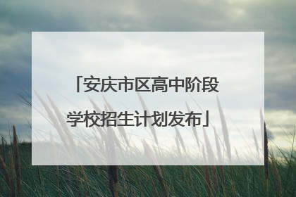 安庆市区高中阶段学校招生计划发布