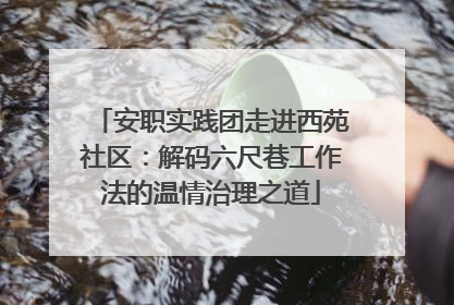安职实践团走进西苑社区：解码六尺巷工作法的温情治理之道