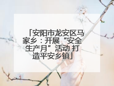 安阳市龙安区马家乡：开展“安全生产月”活动 打造平安乡镇