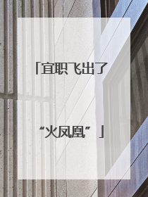 宜职飞出了“火凤凰”