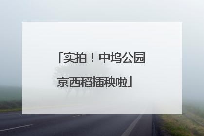 实拍！中坞公园京西稻插秧啦