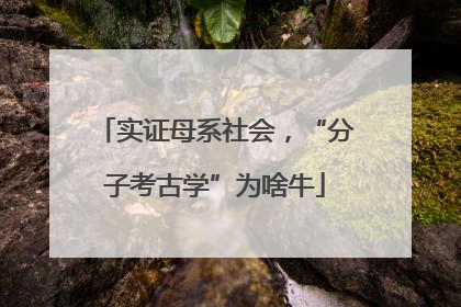 实证母系社会，“分子考古学”为啥牛
