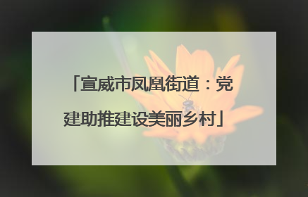 宣威市凤凰街道：党建助推建设美丽乡村