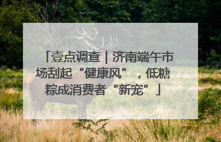 壹点调查｜济南端午市场刮起“健康风”，低糖粽成消费者“新宠”