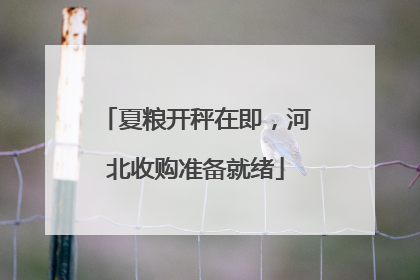 夏粮开秤在即，河北收购准备就绪