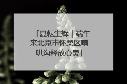 夏耘生辉｜端午来北京市怀柔区喇叭沟释放心灵