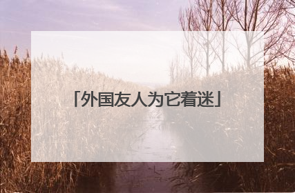 外国友人为它着迷