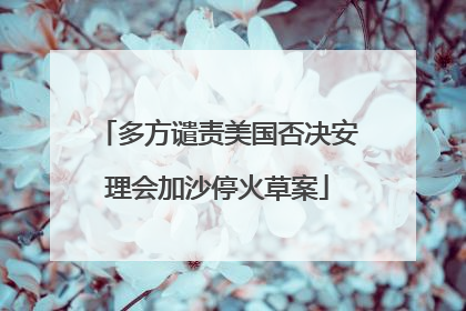 多方谴责美国否决安理会加沙停火草案