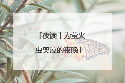 夜读丨为萤火虫哭泣的夜晚