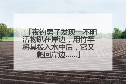 夜钓男子发现一不明活物趴在岸边，用竹竿将其拨入水中后，它又爬回岸边……