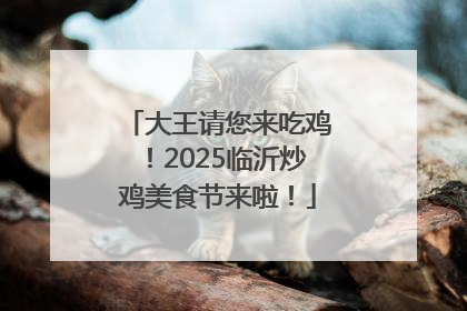 大王请您来吃鸡！2025临沂炒鸡美食节来啦！