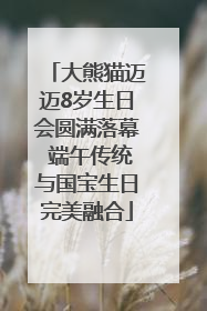 大熊猫迈迈8岁生日会圆满落幕 端午传统与国宝生日完美融合